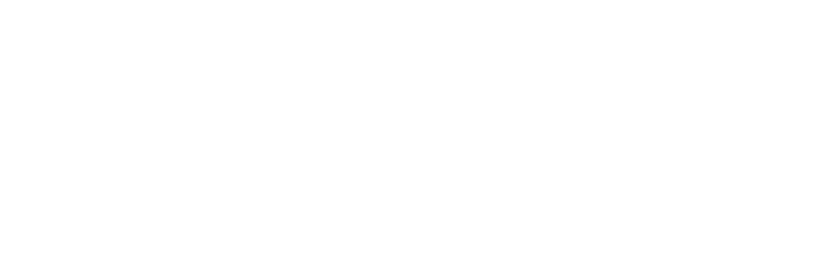 Logo sallambier białe